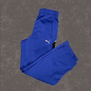 Puma boys track pants royal blue size small